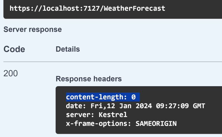 Terminal middleware prevents an ASP.NET Core Web API response being returned