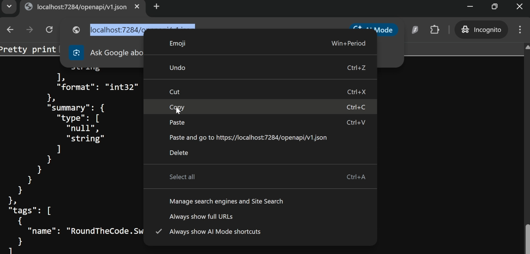Copy the OpenAPI documentation when running the app
