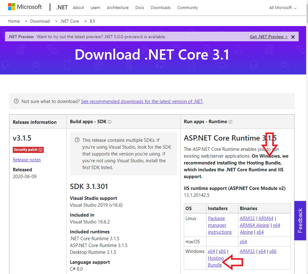 Download Windows Hosting bundle for ASP.NET Core Runtime 3.1.5