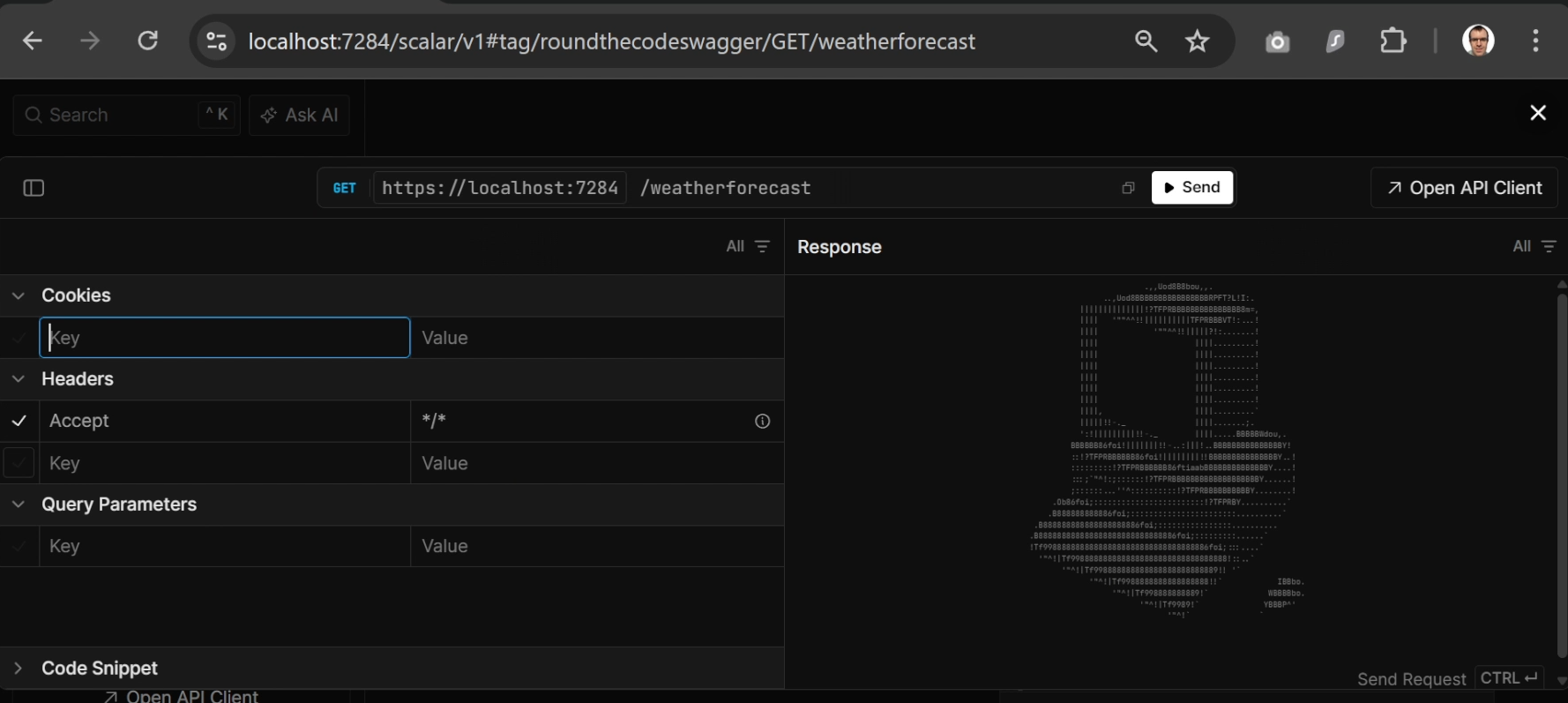 Scalar in a .NET 10 project