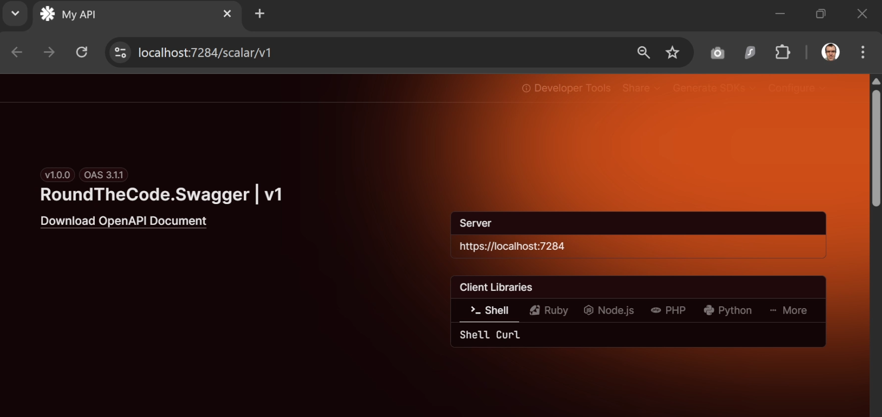 Scalar in a .NET 10 project using the Mars theme